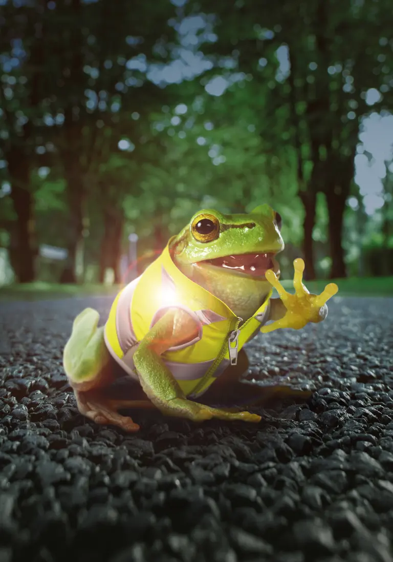 Grenouille