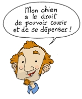Tenir chien en laisse 3
